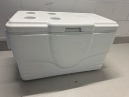COLEMAN Kühlbox Gross
