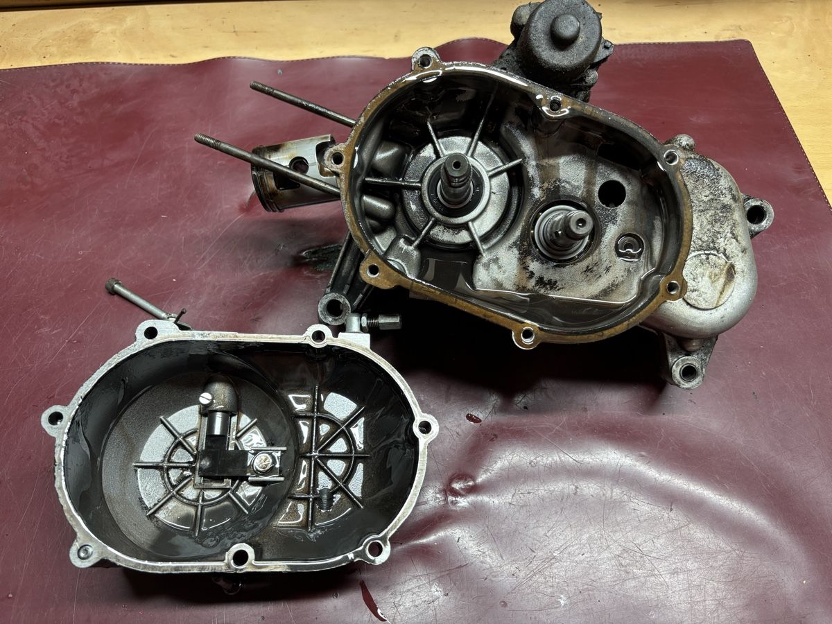 Beta Motori: Mofa Pony Beta Motor – Difettoso da Latterbach venduto da Bbutz98 6