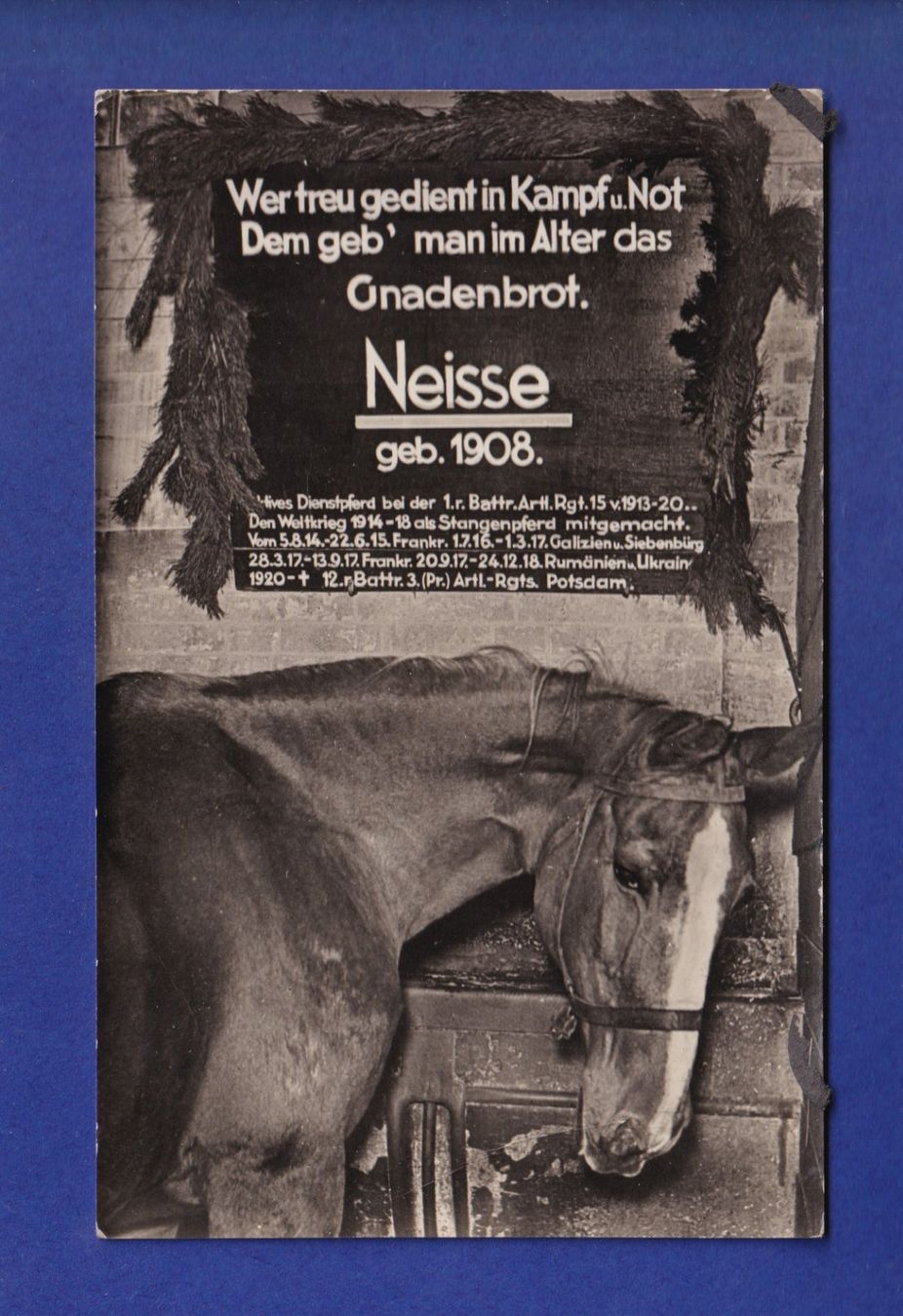 Cartoline postali: CHEVAL / PFERD - Gnadenbrot – Usato da Pully venduto da nicecards-shop