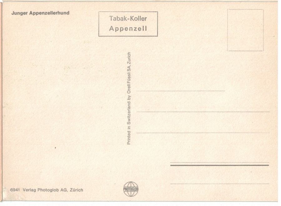 Cartoline postali: Junger Appenzellerhund, geschätzt 1975 – Usato da Frauenfeld venduto da POML 1