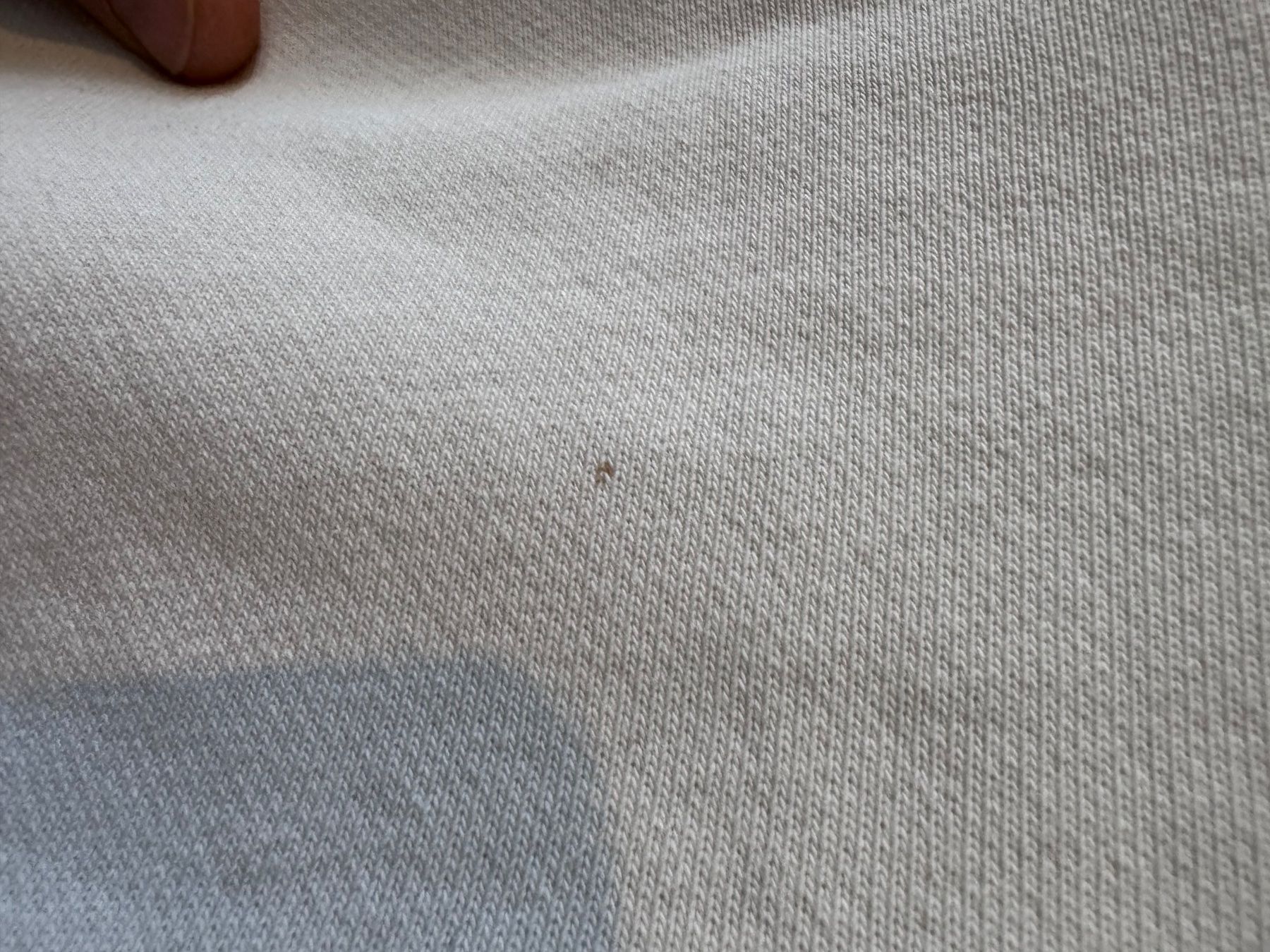 Champion Maglioni & Felpe: Champion Crewneck Reverse warm up Weave Size S – Usato da Neuchâtel venduto da _Easy_to_Find_ 6