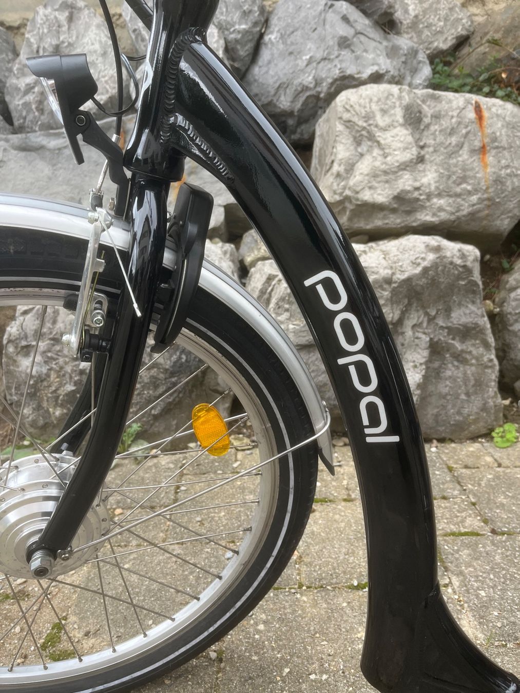 Biciclette: Elektro Dreirad – Usato da Zürich venduto da Leonesse 2