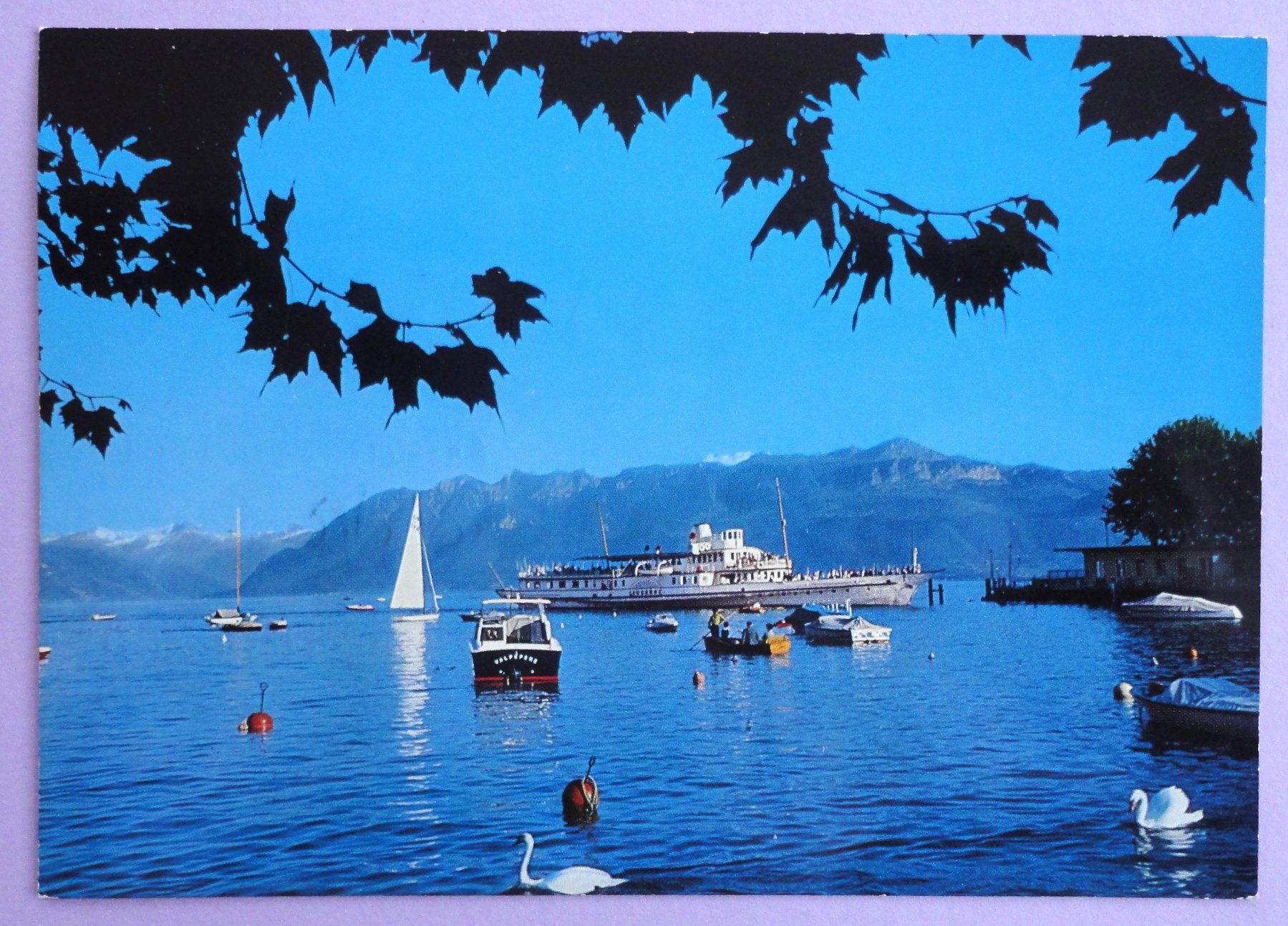 Cartoline postali: Lausanne-Ouchy, le port – Usato da Fétigny venduto da Billy2miny