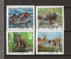 M1773 - Famille d'animaux 1er jour
