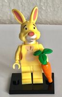 Minifigure from Winnie The Pooh