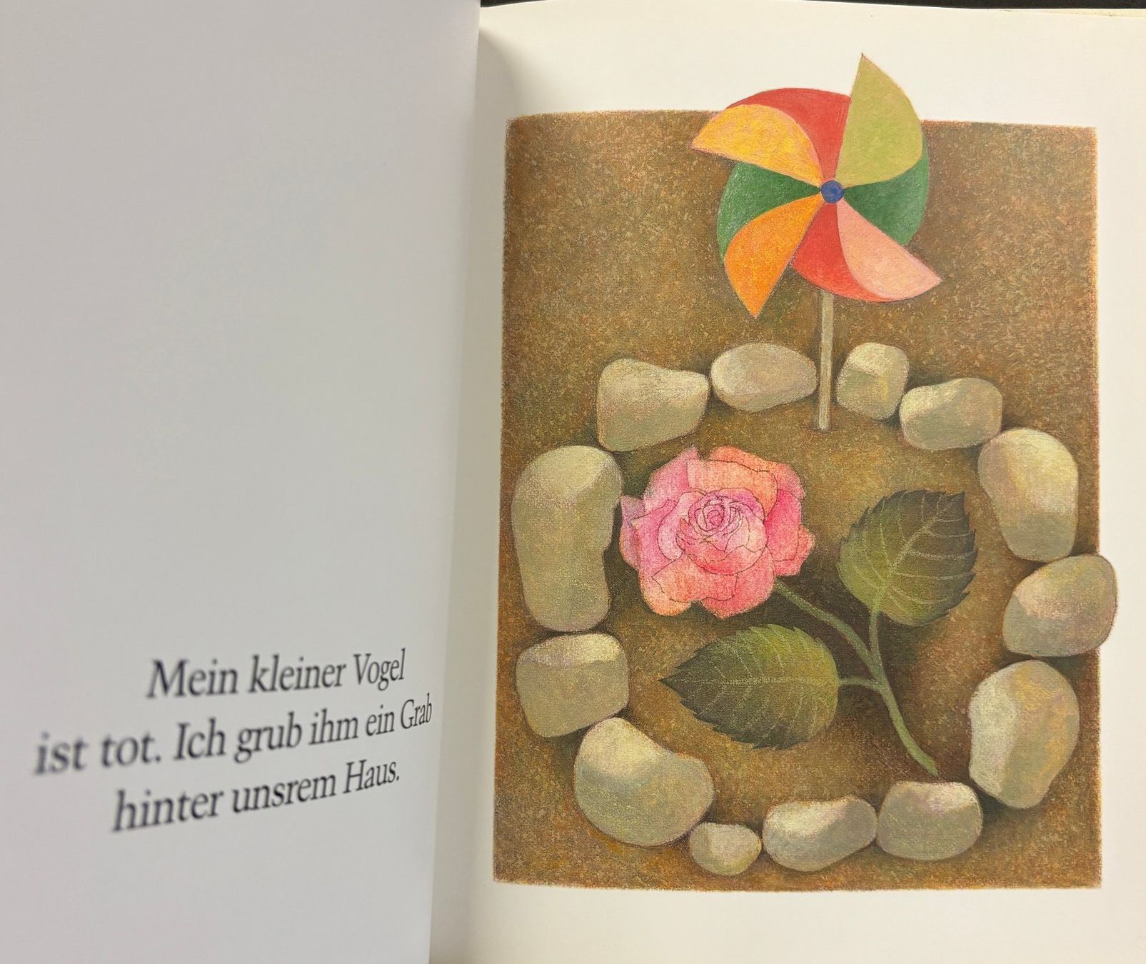 Libri: Heyduck-Huth Hilde, Erde - Ein Bilderbuch zum Stillwerden – Nuovo (secondo la descrizione) da Sarnen venduto da Livres 5