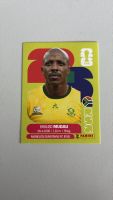 Carte panini 2026 - RSA 9