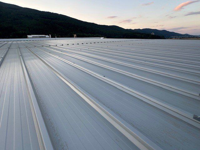 Altri materiali per l'edilizia: Restposten Dach und Fassadenpaneelen – Nuovo (secondo la descrizione) da Wiedlisbach venduto da isopaneel 6