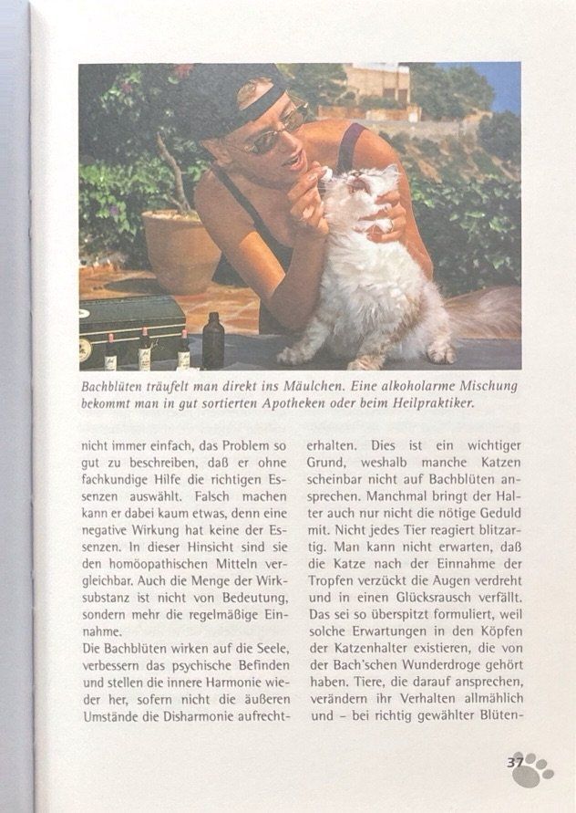 Libri: Katzenprobleme - Problemkatzen – Nuovo (secondo la descrizione) da Sarnen venduto da Livres 8