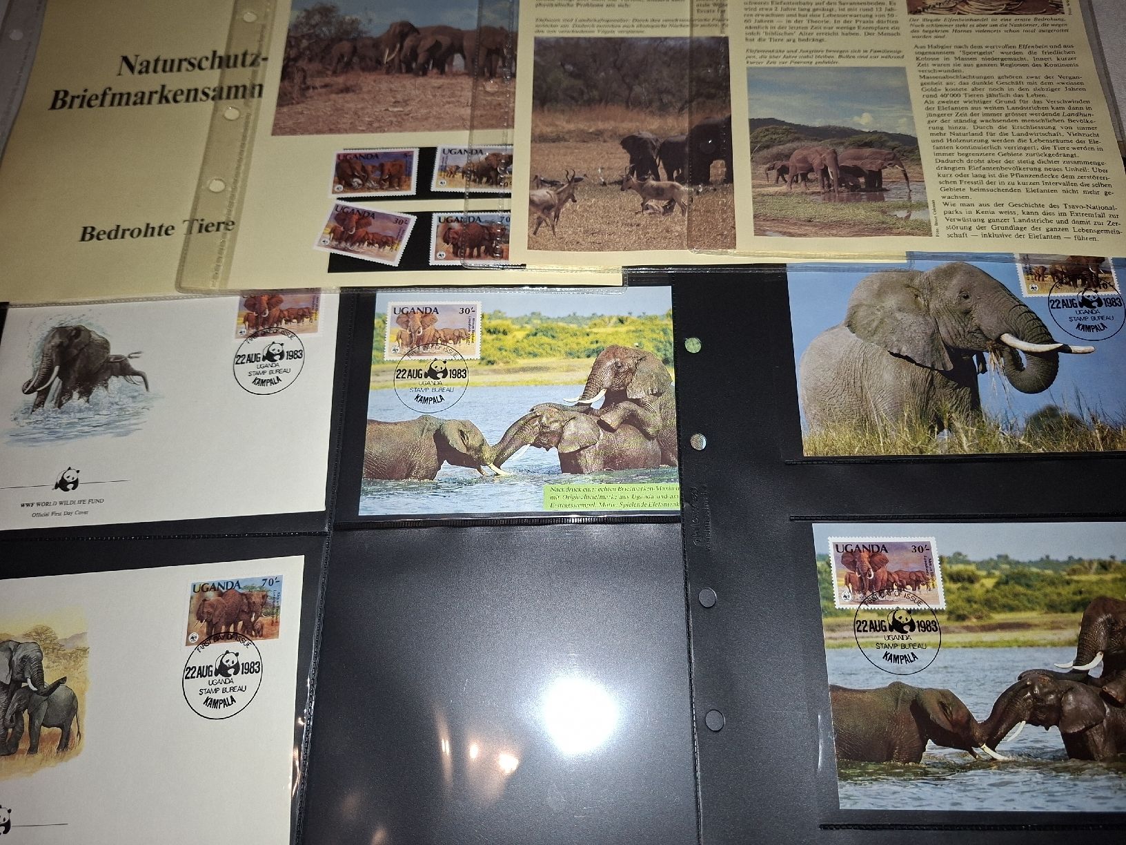 Tutti i francobolli: Motive / WWF 1983 / Maximum / Einzelmarken – Usato da Balgach venduto da SIMEON27