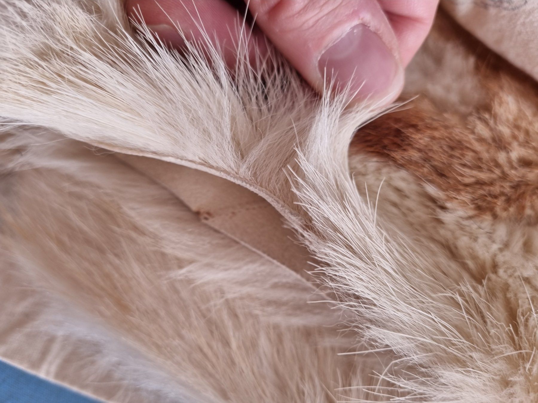 Tappeti: Echter Fell-Teppich mit Muster (Wildhund) – Usato da Kilchberg ZH venduto da Pihe05 6