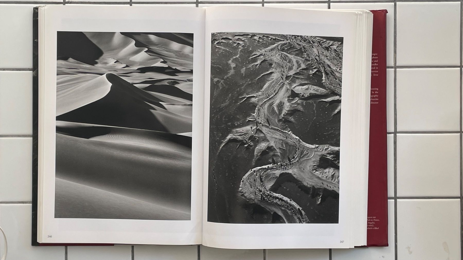 Libri: Sebastião Salgado – GENESIS – Usato da Zürich venduto da felix.good 2