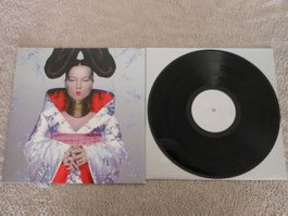Björk – Homogenic