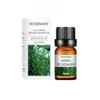 XO Hochwertiges wasserlösliches Duftöl 10ml (ROSEMARY)