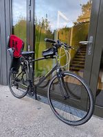 Fahrrad Specialized Sirrus  Top Zustand