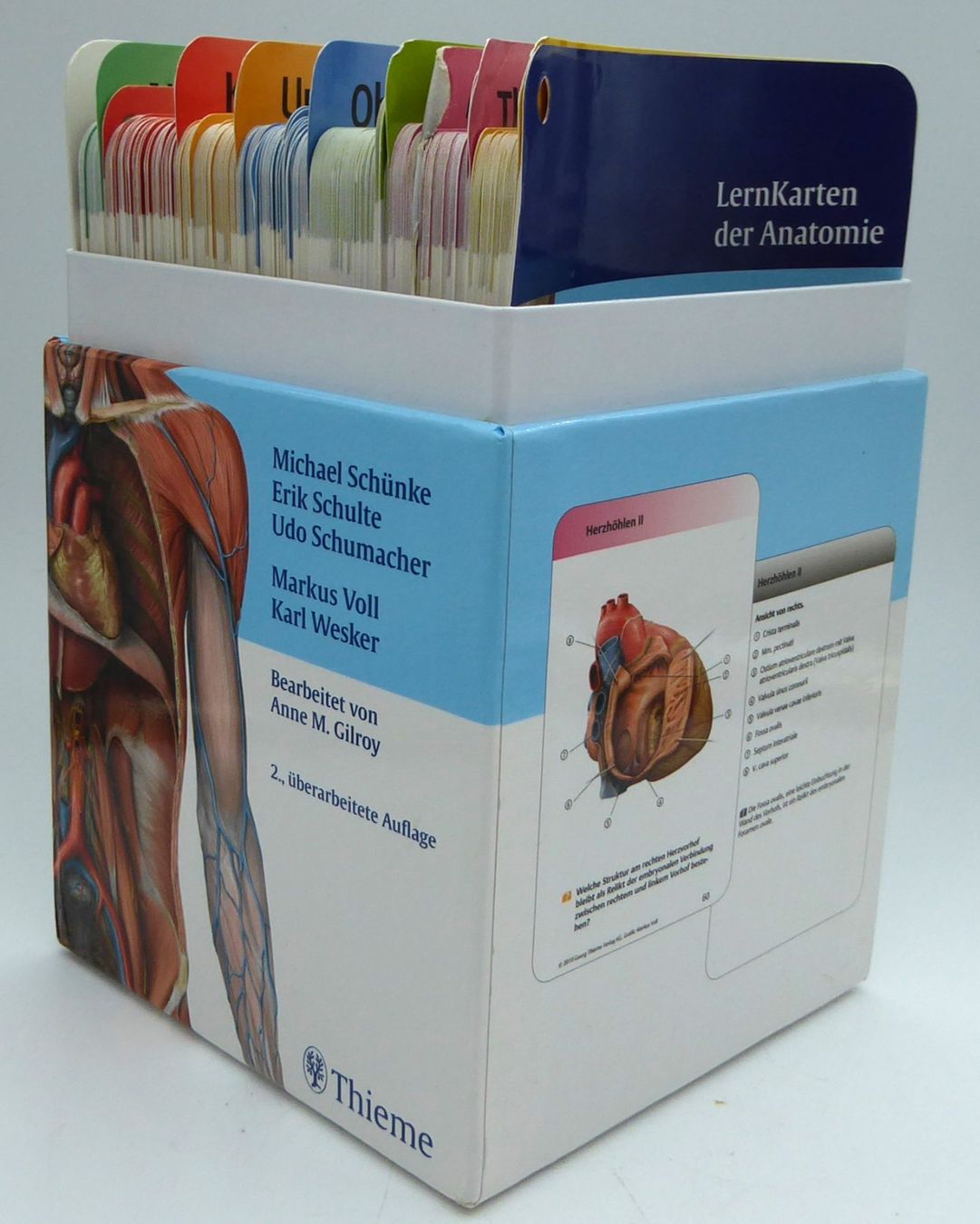 Altro materiale scolastico: PROMETHEUS LernKarten der Anatomie / des Bewegungsystems – Nuovo (secondo la descrizione) da Volketswil venduto da brockipfannenstil 2