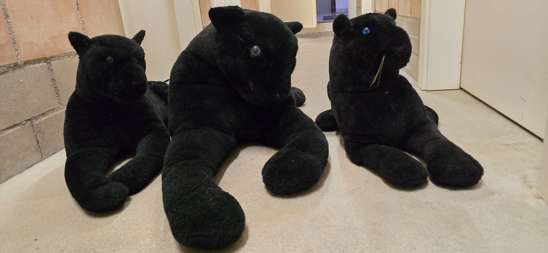 Jouets: Plüschtier Panther 3er Set schwarz – D'occasion à Münchenbuchsee par Divemasterflieg