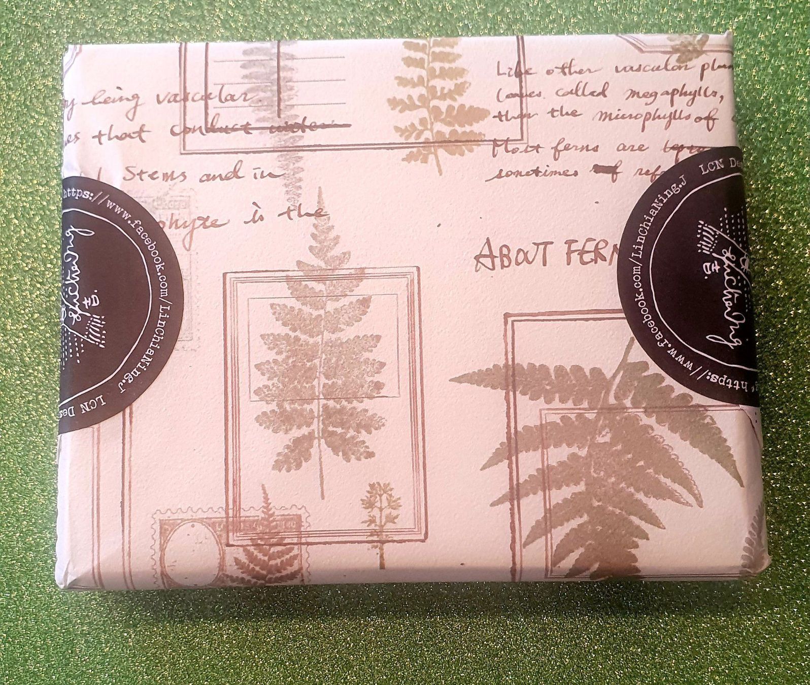 Timbri: LCN Design Studio grosser Stempel "Fern" – Nuovo e nell'imballaggio originale da Zürich venduto da brifo64 2