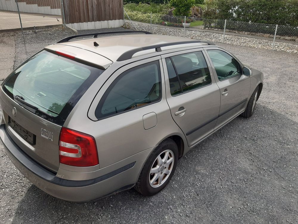 Skoda Automobili: Skoda Octavia, Combi Ambiente A5 (DPF) – Usato da Obfelden venduto da mei_9kxw 1