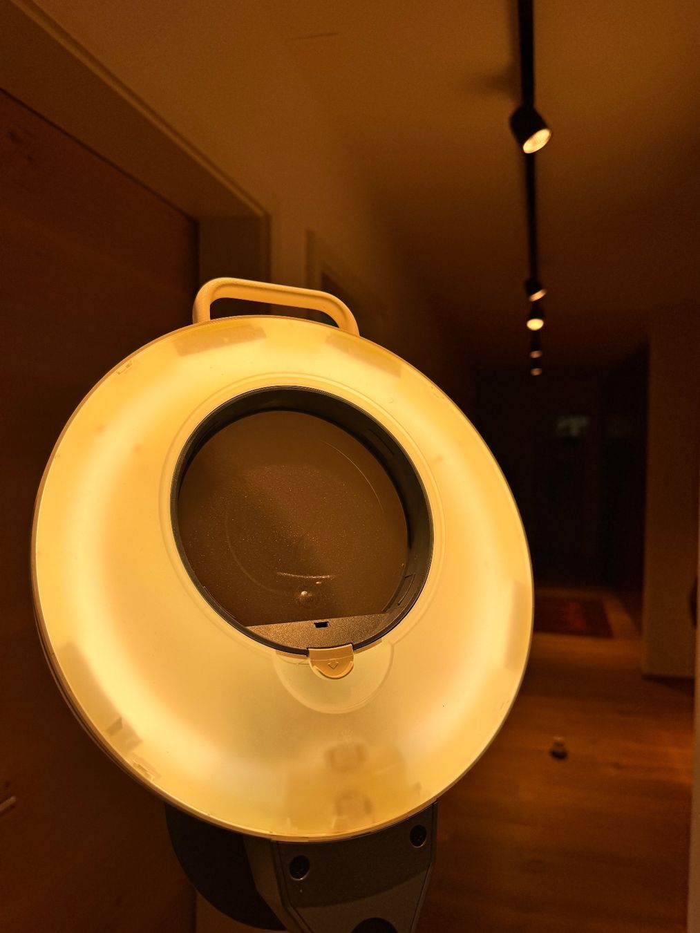 Altro per Ottica: Waldmann Lupenleuchte Lampe – Usato da Zofingen venduto da miwehr 6