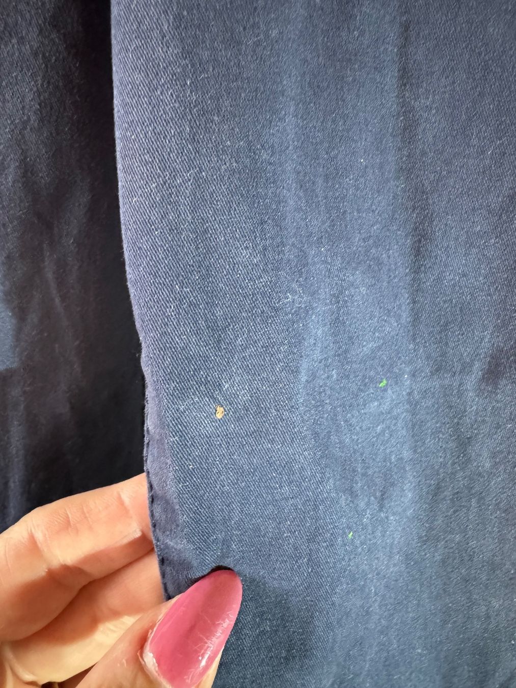 Hosen: Hose von Esmara Gr. 34 – Gebraucht aus Grosswangen von SALE_SALE_SALE 4