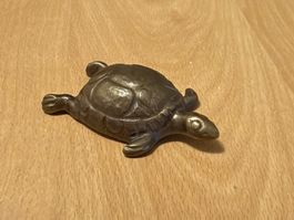 Turgi Bronze BAG Schildkröte