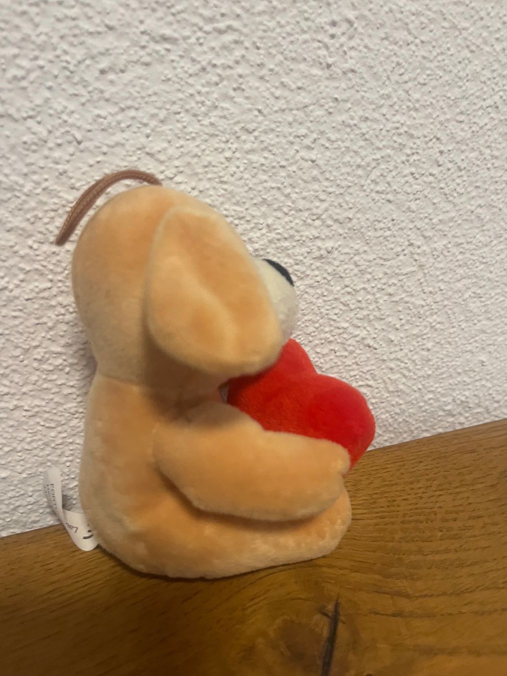 Jouets: *Plüschhund* – Neuf (Voir description) à Seuzach par Black_sheep 2