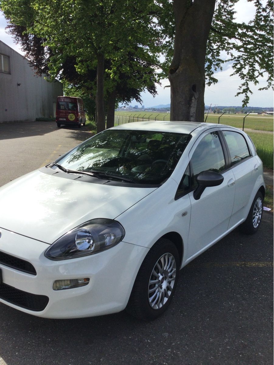 Fiat Automobili: Fiat Punto 1.2 Young – Usato da Dietikon venduto da Rocky34 8