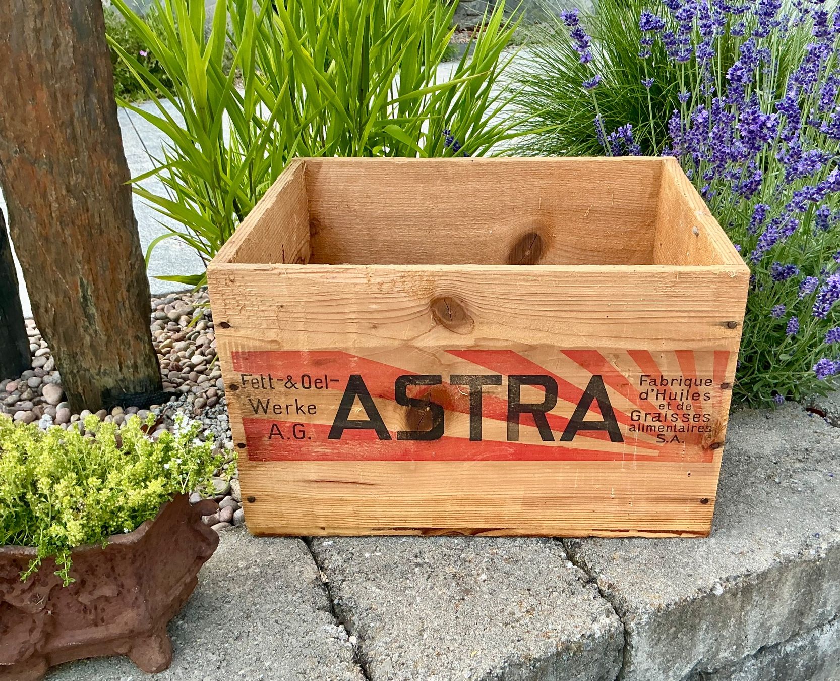 Casse di trasporto: ALTE ASTRA HOLZKISTE – Usato da Zell LU venduto da Silvermemory