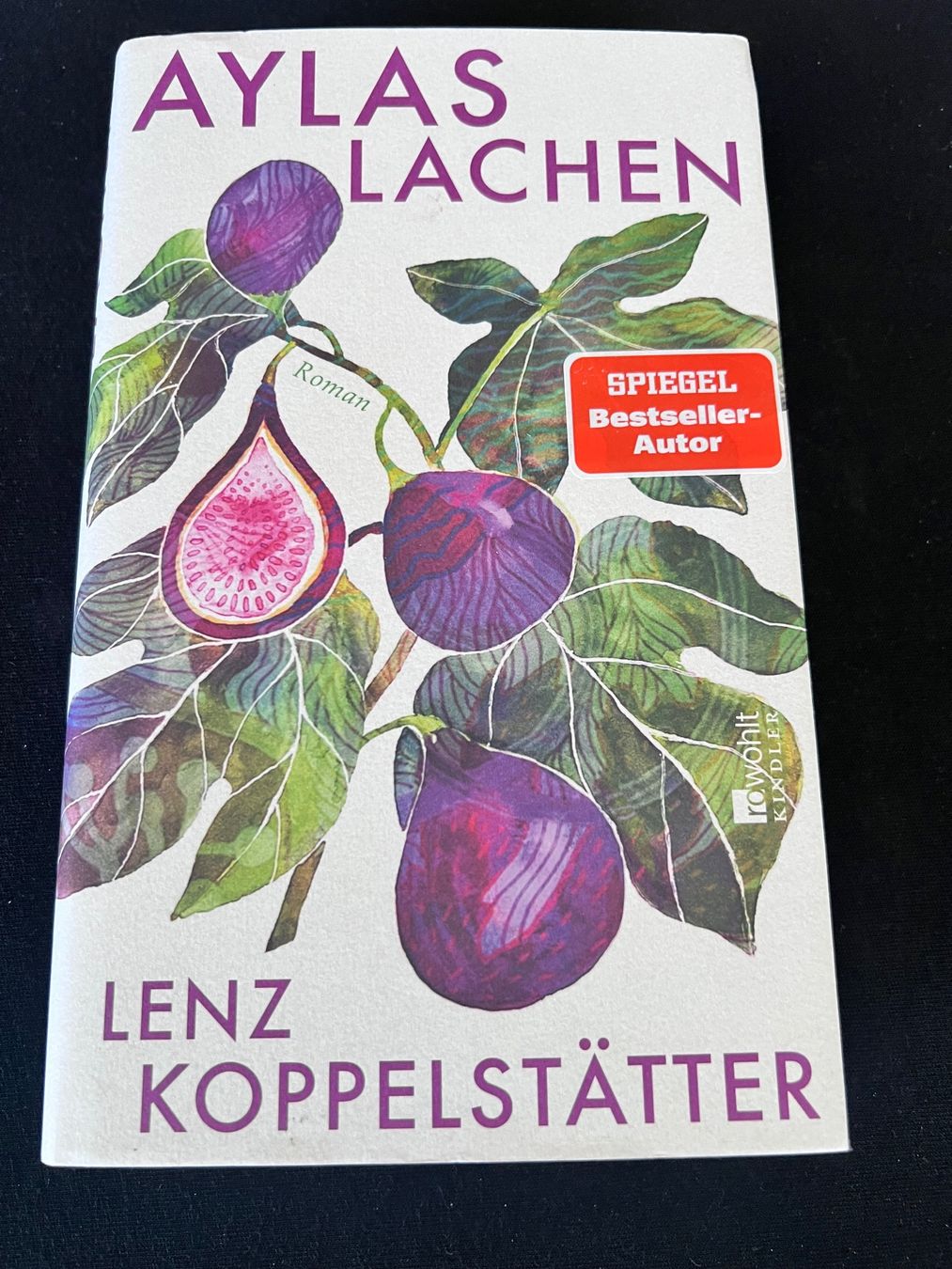 Libri: Buch - Aylas lachen - roman – Nuovo (secondo la descrizione) da Effretikon venduto da YaMn