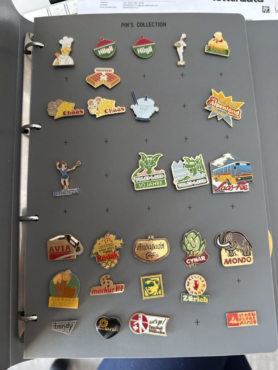Ferri: Pin Sammlung  Vintage! – Usato da Wallisellen venduto da Casanna56