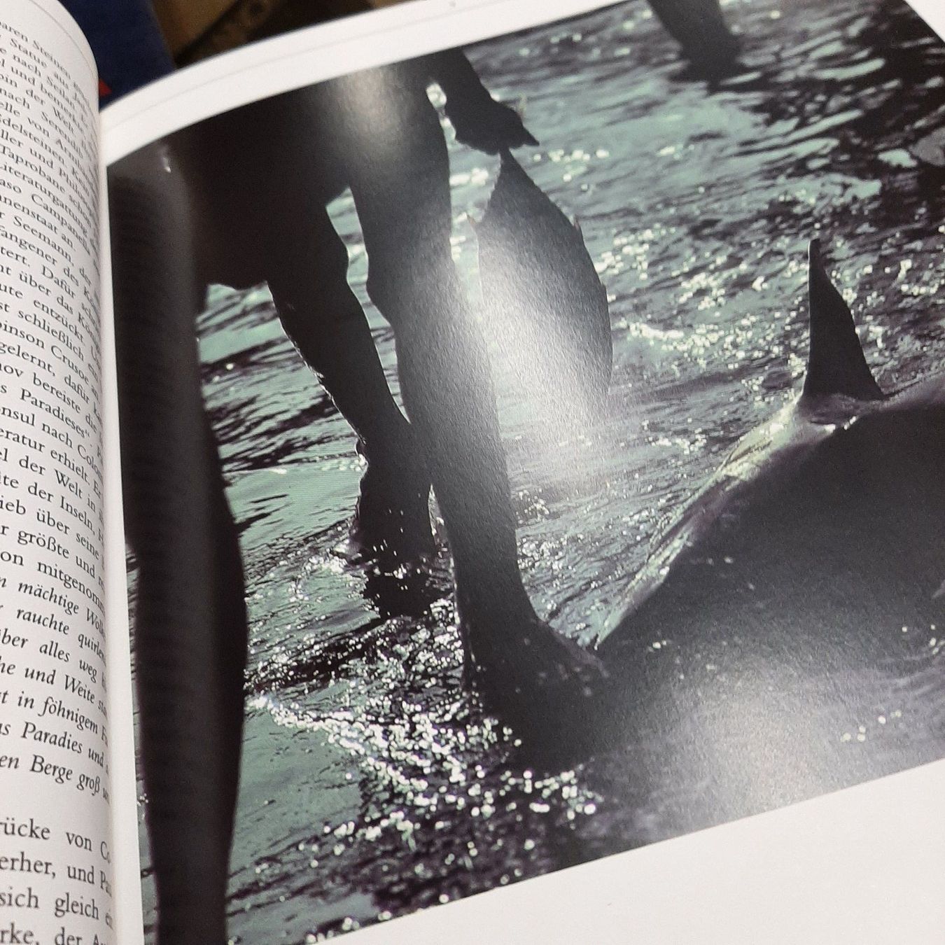 Libri: Sri Lanks – Usato da Zürich venduto da Schoebi19 3