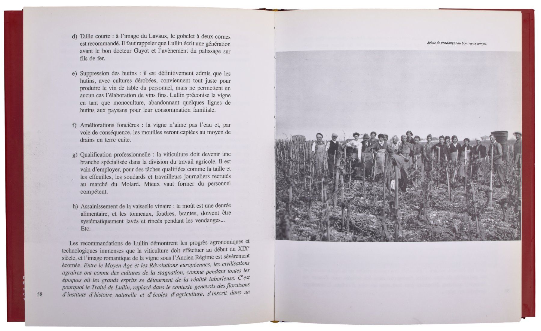 Libri: LES VINS DE GENÈVE "Exemplaire Hors Commerce" – Usato da Onex venduto da gonsla 4