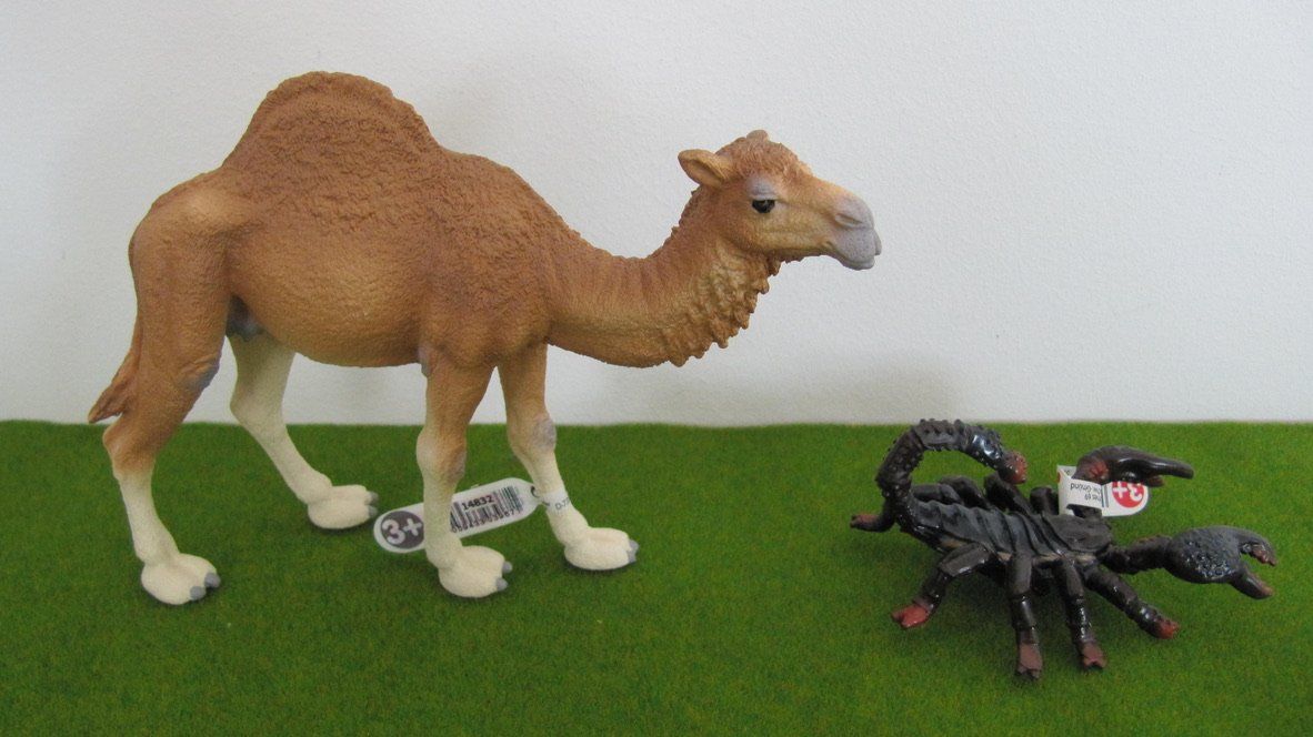 Schleich Giocattoli: Schleich Dromedar & Skorpion – Nuovo (secondo la descrizione) da Brunnen venduto da Kiwiland1