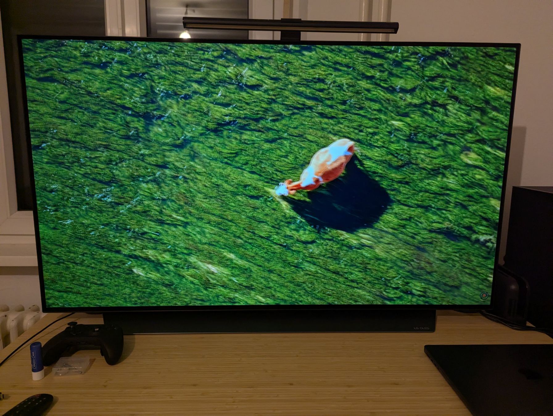 Televisori: LG C1 48 OLED TV – Usato da Zürich venduto da FaiWong 1