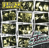 CD Rumpelstilz - Live im Anker (1989)