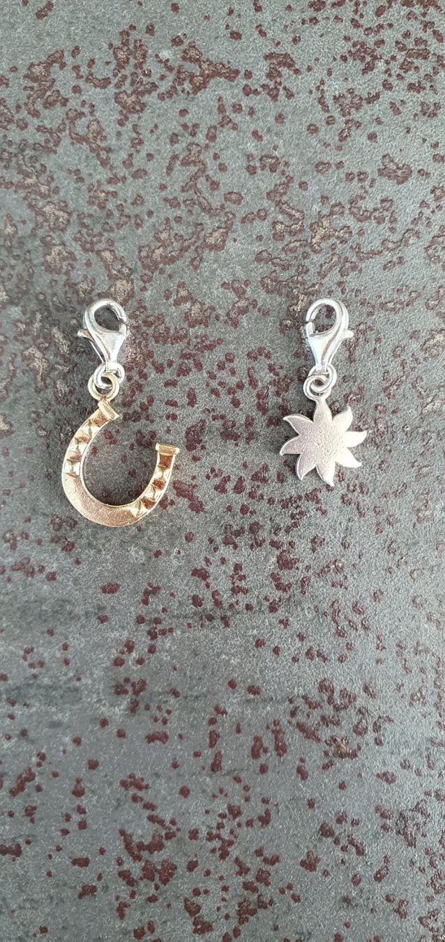 Thomas Sabo Ciondoli: Charms Thomas Sabo – Usato da Echallens venduto da sabina1311