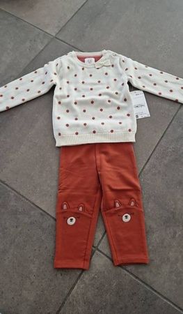 Mädchen Pullover und Hose mit Bären Motiv Grösse 80 neu