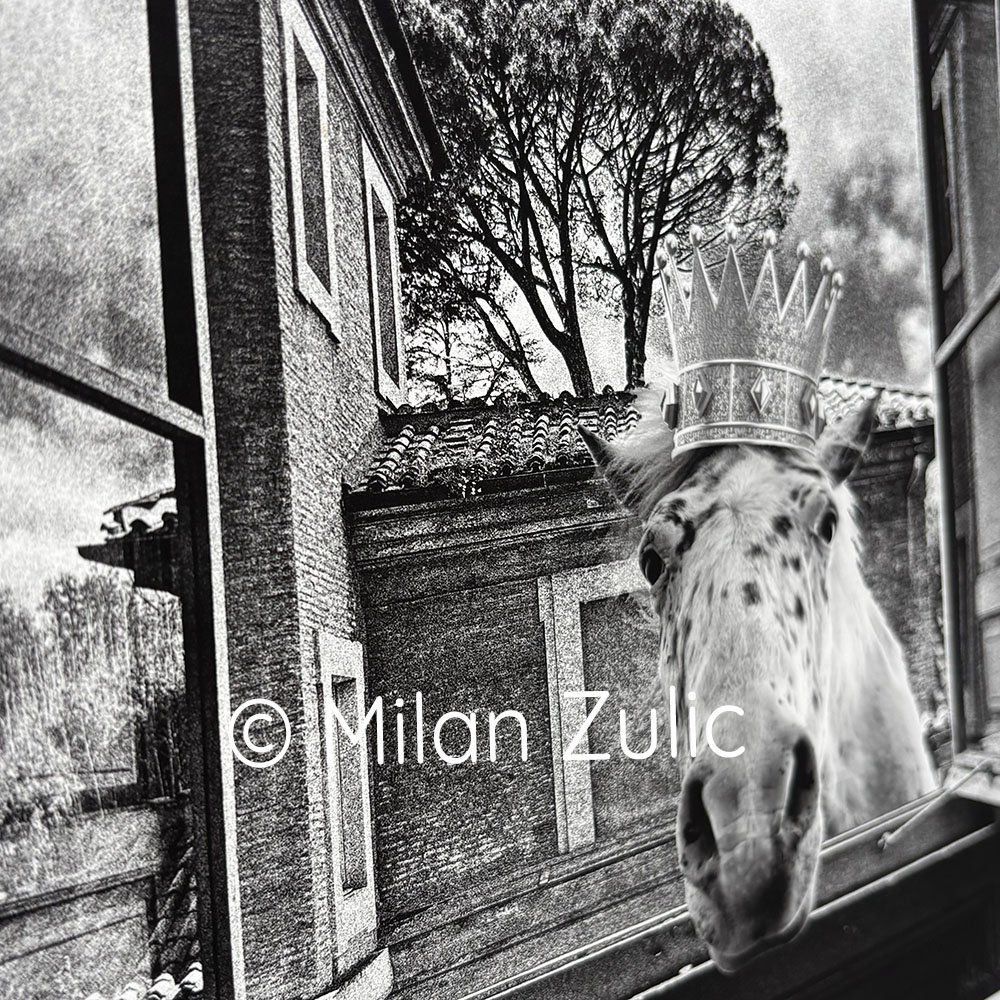Foto & Immagini: Travel postcards 007 – Nuovo (secondo la descrizione) da Uetikon am See venduto da mil_7k2b 1