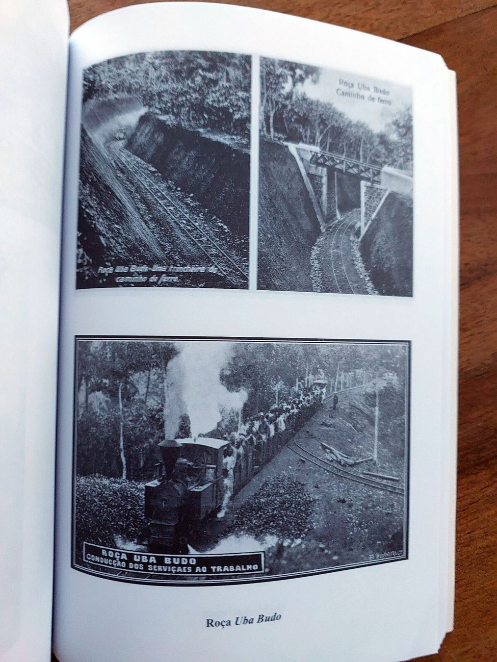 Bücher: Caminhos-de-Ferro em S. Tomé e Príncipe – Gebraucht aus Schönenwerd von Steidi 6