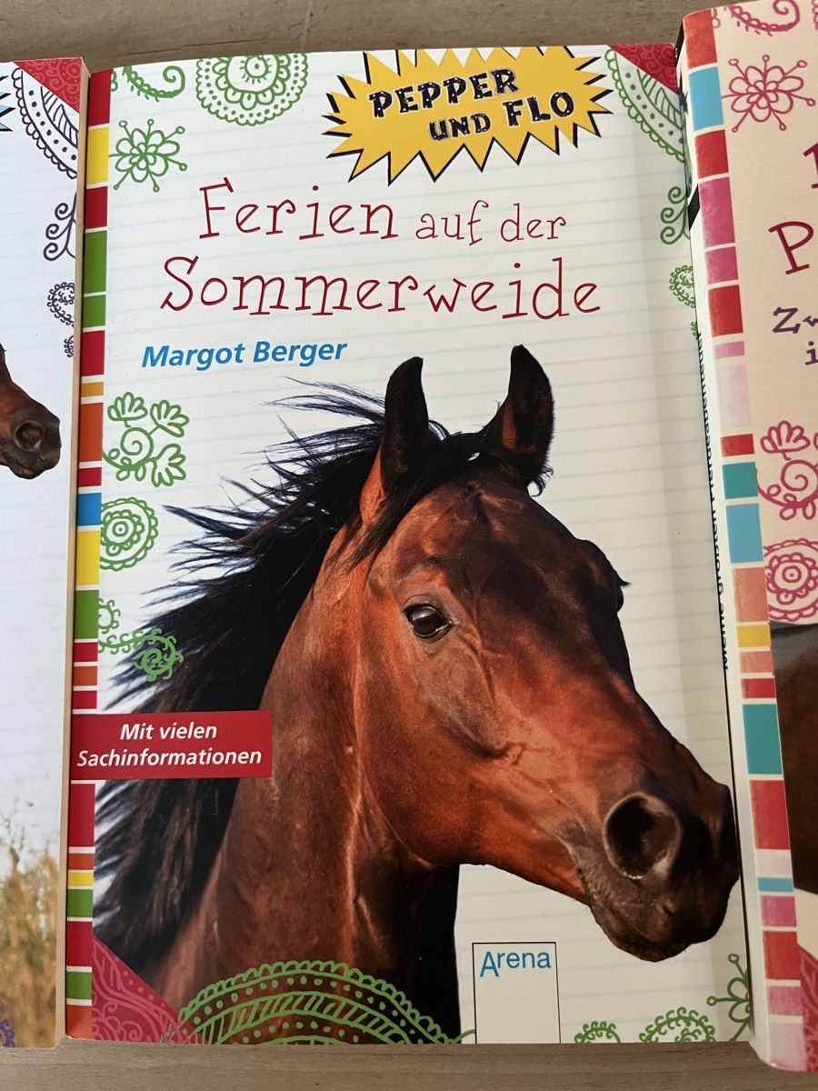 Livres: Pepper und Flo Bücher – D'occasion à Galgenen par obe_dj6b 2