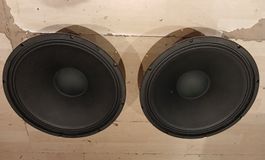 2 Stück Harley Benton 15TB065-B4 Lautsprecher Chassis