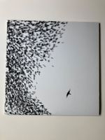 Wilco – Sky Blue Sky 2LP (US 2007)