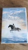 Black Stallion (1980)