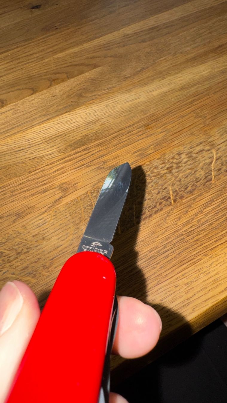 Victorinox Couteaux de poche: Victorinox Sackmesser Gross. – Neuf (Voir description) à Burgdorf par Catbagger64 5