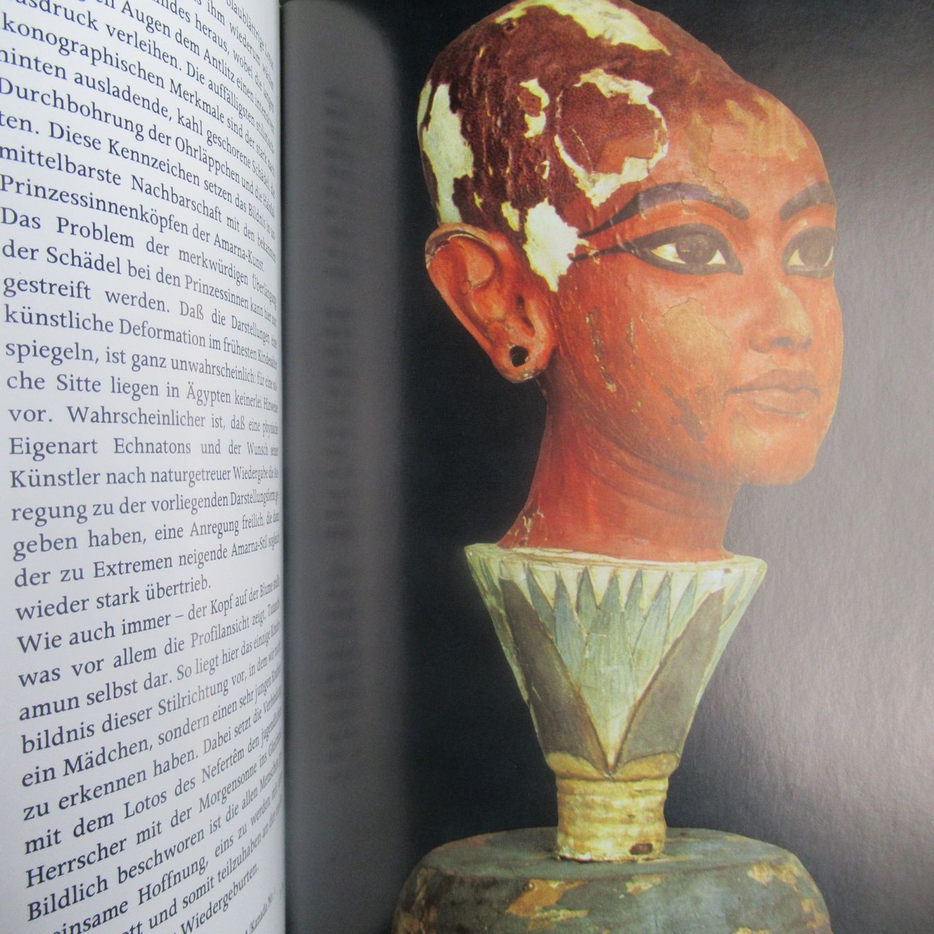 Libri: TUTANCHAMUN – Usato da Moosseedorf venduto da haro01 7