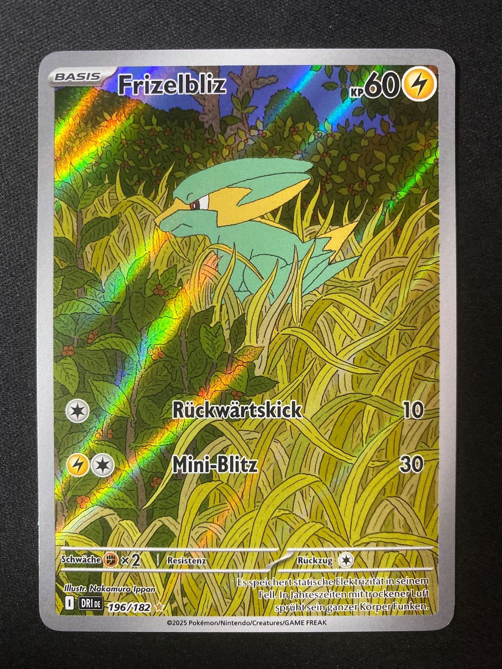 Pokémon Sammelbilder & Trading cards: Frizelbliz 196 - Electrike - Destined Rivals - DE – Neu (gemäss Beschreibung) aus Hausen AG von Shrade