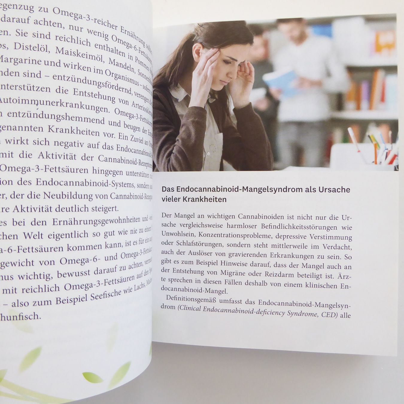 Libri: Natürlich heilen mit Cannabis – Usato da Basel venduto da Kunterbunt12 8