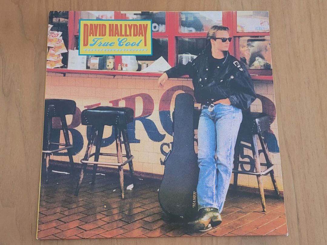 Dischi in vinile: LP  David Hallyday – Usato da Martigny venduto da MZ-67