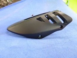 Kawasaki ER-6n / 2010 Bugspoiler